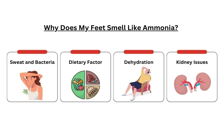 why-does-my-feet-smell-like-ammonia