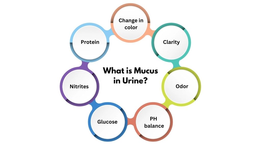 mucus-in-urine